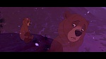 Brother Bear picture