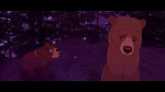 Brother Bear picture