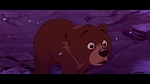 Brother Bear picture