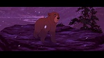 Brother Bear picture