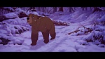 Brother Bear picture