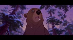 Brother Bear picture