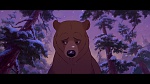 Brother Bear picture