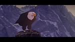 Brother Bear picture