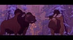 Brother Bear picture