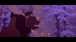 Brother Bear picture