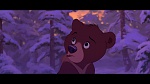 Brother Bear picture