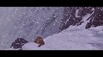 Brother Bear picture