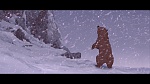 Brother Bear picture