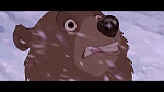 Brother Bear picture