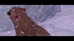 Brother Bear picture