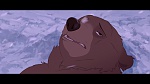 Brother Bear picture