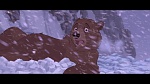 Image Brother Bear
