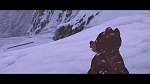 Image Brother Bear