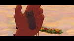Image Brother Bear