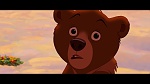 Image Brother Bear