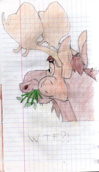 Truc 1