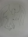Sitka (aigle)