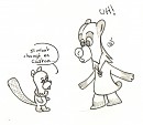 Nita le castor
