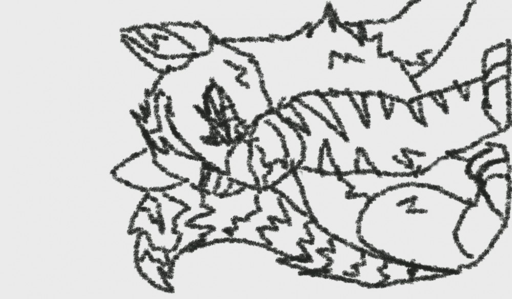 Raccoon
