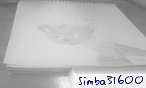 simba31600