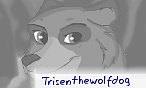 Trisenthewolfdog