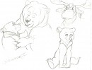 SketchDump