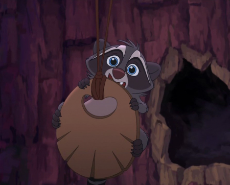 Detail Baby Racoon