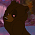 Haley (Bear)