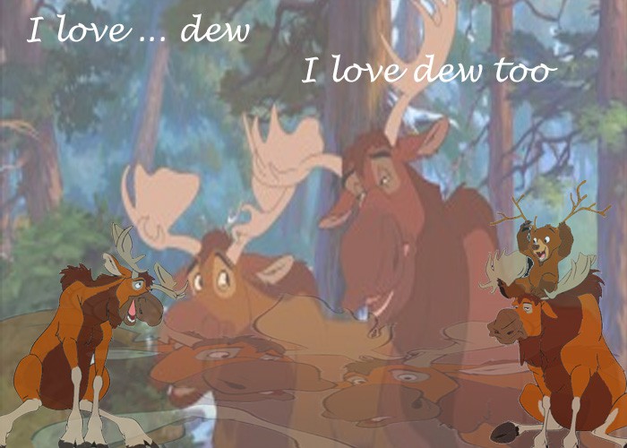 I love dew