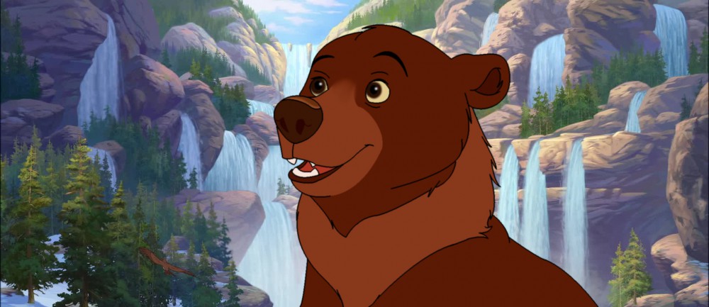 Adult Koda