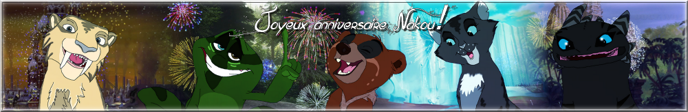 Joyeux anniversaire Nakou!!