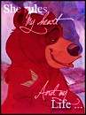 Ours amoureux avatar
