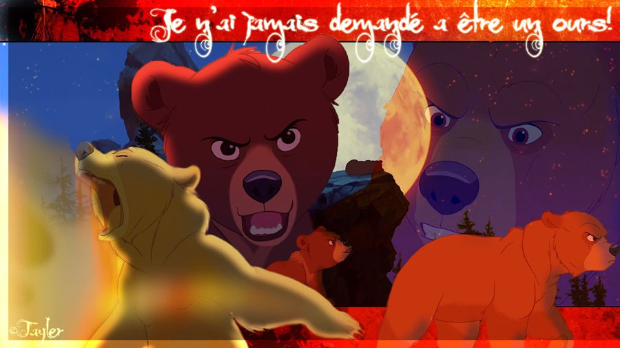 Je n'ai jamais demandé a être un ours!~ Kenaï/Koda