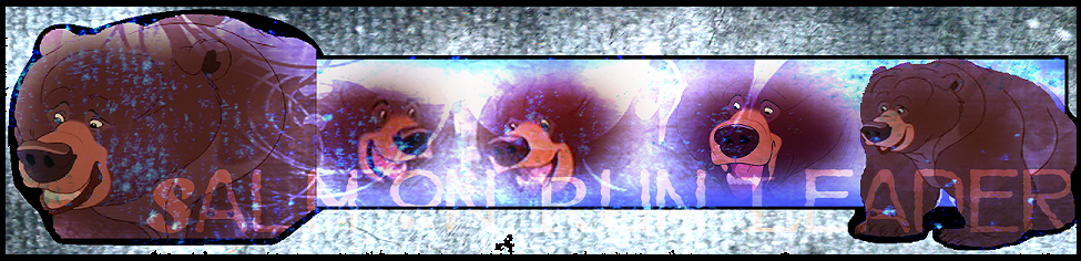.: The Salmon Run Leader :.