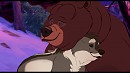 - Someone's going to be Dad again-