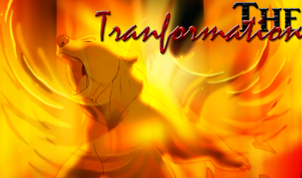 The Transformation
