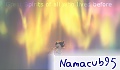 Namacub95