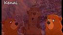 Frère des ours 
