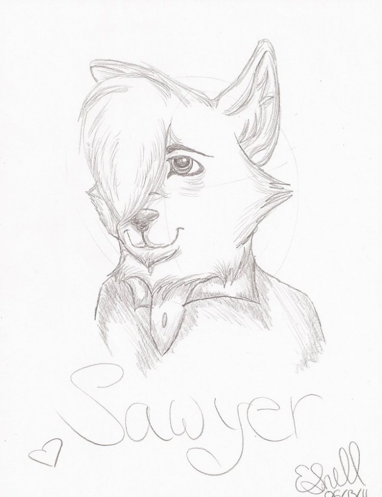 Sawyer