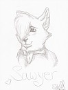 Sawyer