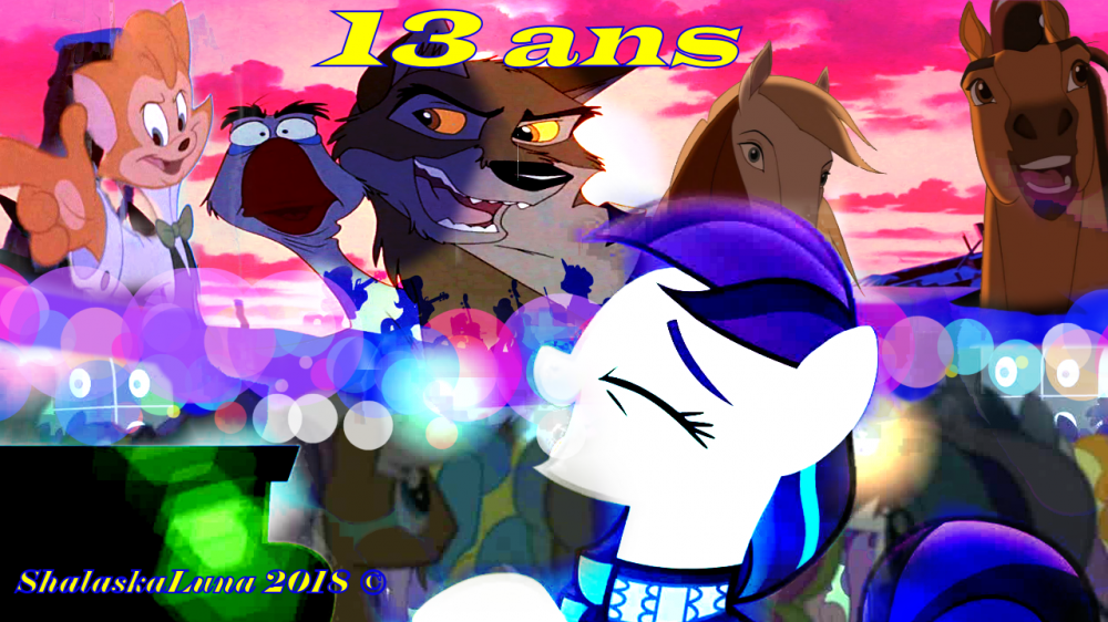 13 ans de présence !