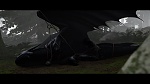 Dragons picture