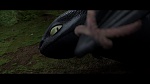 Dragons picture