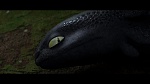 Dragons picture
