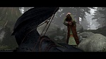 Dragons picture
