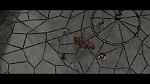 Image Dragons