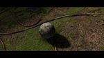 Image Dragons