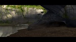 Image Dragons