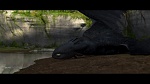 Image Dragons